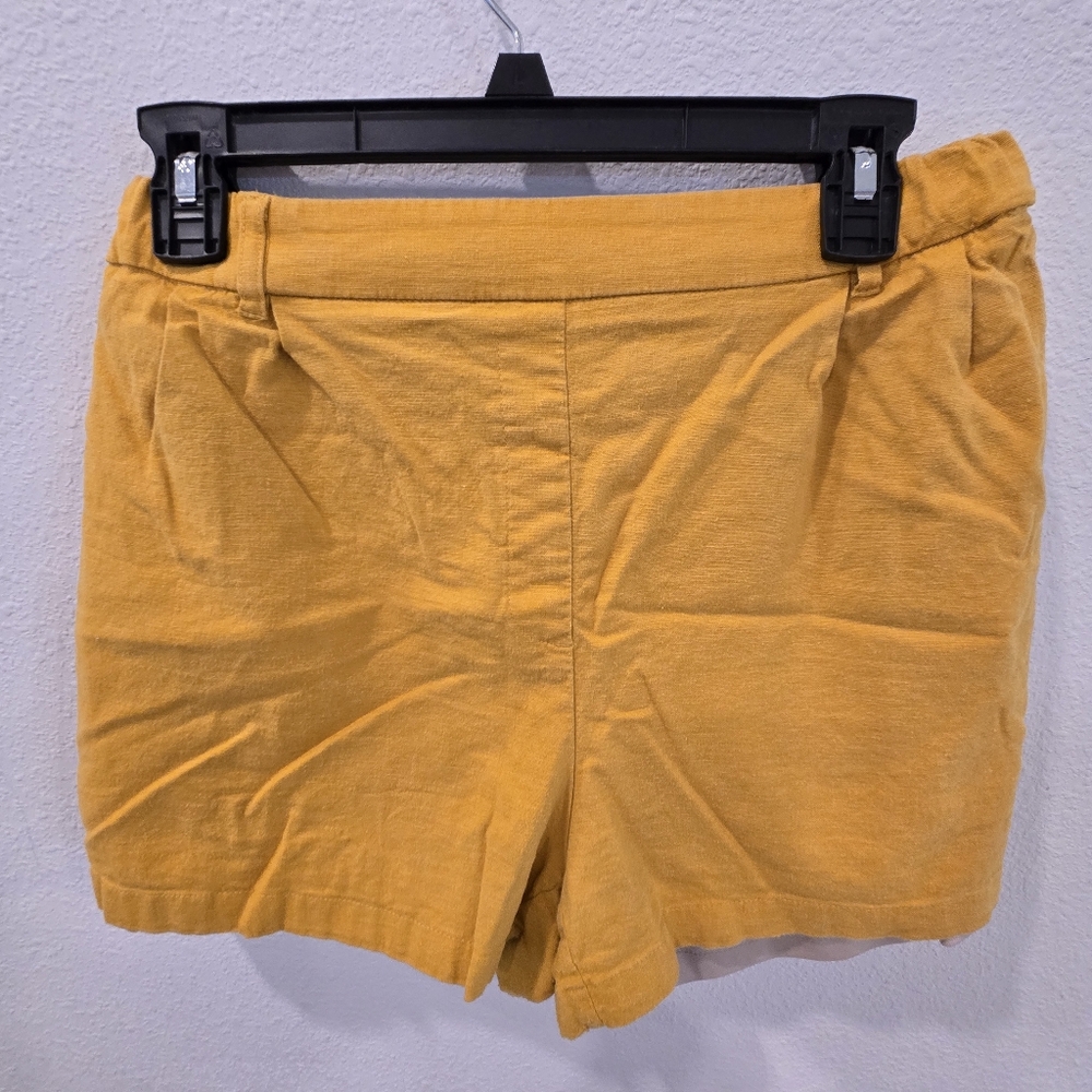 Express Linen lined Shorts